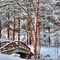 A Winters Painting
