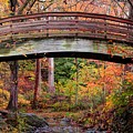 Botanical Gardens Arched Bridge Asheville During Fall